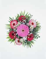 https://www.antjepeters.com/files/gimgs/th-153_Antje Peters BOUQUET-7.jpg